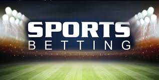 Explore Baji Live The Premier Platform for Online Betting