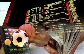 Explore Baji Live The Premier Platform for Online Betting